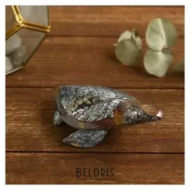 Сувенир из ракушки "Тёмная черепашка" 12х7х4 см