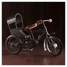 Сувенир металл "Велосипед - рикша" 31х13х21 см