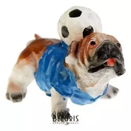 Сувенир полистоун "Английский бульдог с футбольным мячом" 6,5х8х5 см