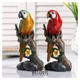 Сувенир полистоун лак "Попугай Ара на ветке" 17х9,5х7,5 см