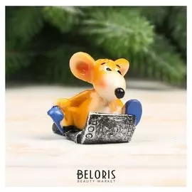 Сувенир полистоун "Мышустик на купюре" 4,2х4х4,3 см