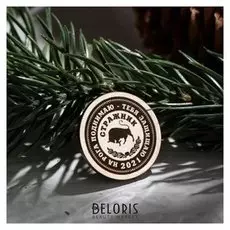 Сувенирная монета "Бык. стражник", сталь