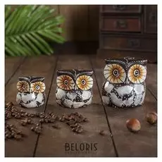 Сувенирный набор дерево "Совы облака" 6х19х8 см