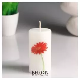 Свеча- цилиндр "Гербера" белая, с декором, 5,2×9,5 см