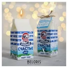 Свеча пакет молока «Счастье отборное 100%», 12 х 5 х 5 см