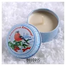 Свеча в баночке «Снегирь»
