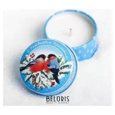 Свеча в баночке «Снегири»