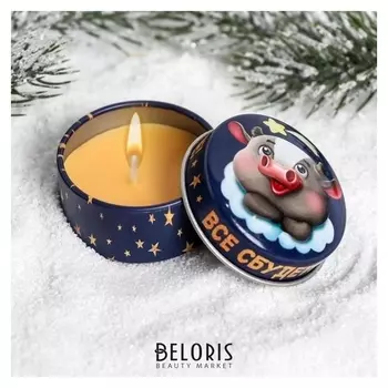 Свеча в жестяной баночке "Все сбудется!"