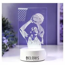 Светильник "Баскетбол" LED RGB от сети 13х21,5 см