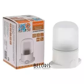 Светильник настенно-потолочный TDM нпб400п "Народный", е27, 60 Вт, Ip54, до +130°, белый