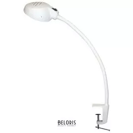 Светильник настольный "Веста С16", на струбцине с гибкой стойкой, светодиодный, 7 Вт, белый