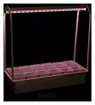 Светильник светодиодный для растений Uniel «Минисад», с подставкой, для фотос-за, 12 кашпо