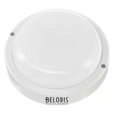 Светильник светодиодный "Фарлайт" спп, 12 Вт, 230 В, 4000 К, 960 Лм, Ip65, круг