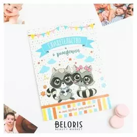 Свидетельство о рождении «Енотики», А4, 32 х 22,3 см