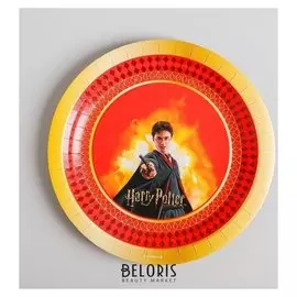 Тарелка бумажная «Гарри поттер», набор 6 шт., 18 см