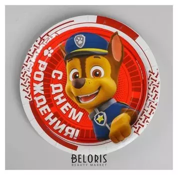 Тарелка бумажная «Щенячий патруль. С днём рождения!», набор 6 шт., 18 см