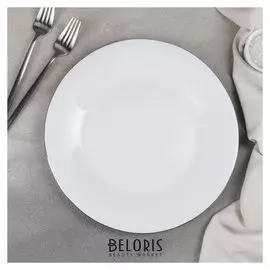 Тарелка обеденная «Сильвер», 27,5×1,5, цвет ободка серебряный