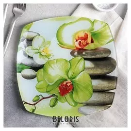 Тарелка обеденная «Зеленая орхидея», D=23 см