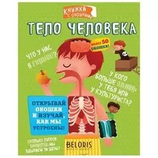 Тело человека