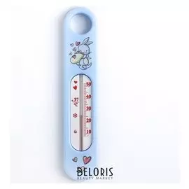 Термометр водный "Сувенир", цвет и рисунок