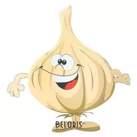 Термонаклейка чеснок, набор 10 штук