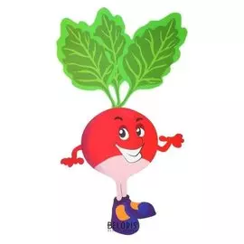 Термонаклейка редис, набор 10 штук