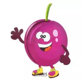 Термонаклейка слива 22*18 см в наборе 10 штук