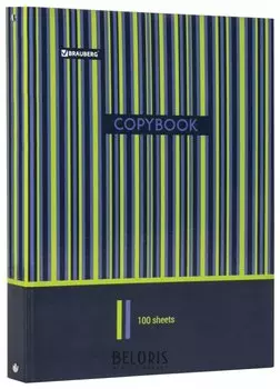 Тетрадь 100 л. клетка Полосы