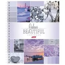 Тетрадь 120 л. клетка Color Line