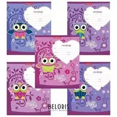 Тетрадь 12 л. клетка Lucky Owl