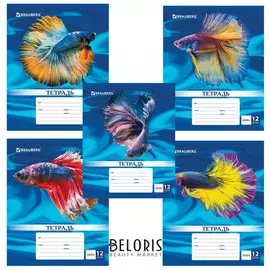 Тетрадь 12 л. клетка Magic Fish