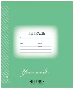 Тетрадь в косую линейку 12 листов