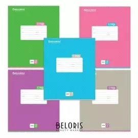 Тетрадь в линейку 12 листов