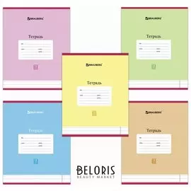 Тетрадь в линейку 12 листов