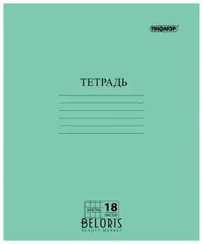 Тетрадь 18 л. клетка
