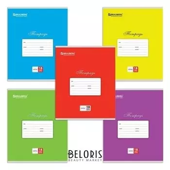 Тетрадь 18 л. клетка