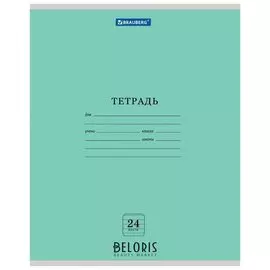 Тетрадь в линейку 24 листа "Эко"