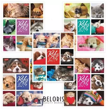 Тетрадь 24 л. клетка Relax Life