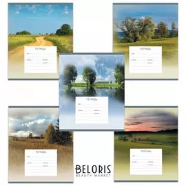 Тетрадь 24 л. клетка Родные просторы