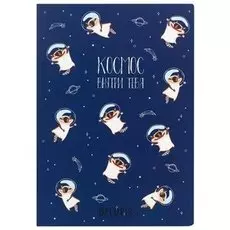 Тетрадь 40л "Космос внутри"