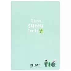 Тетрадь 40л Succulents