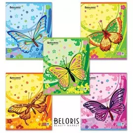 Тетрадь 48 л. клетка Бабочки