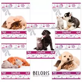 Тетрадь 48 л. клетка Друзья