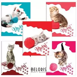 Тетрадь 48 л. клетка Кошечки