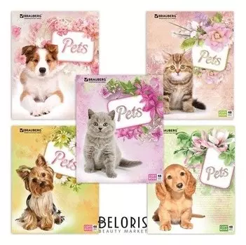 Тетрадь 48 л. клетка "Любимчики"