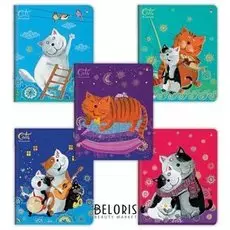 Тетрадь 48 л. клетка "Веселый кот"