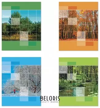 Тетрадь 48 л. клетка Времена года