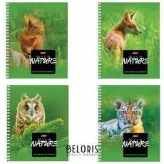 Тетрадь 48 л. клетка Wild Nature