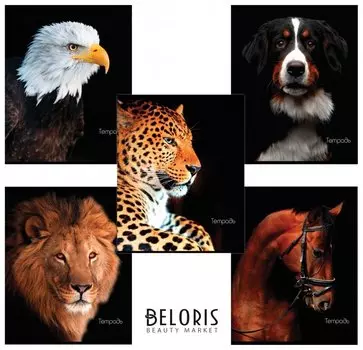 Тетрадь 48 л., клетка Животные