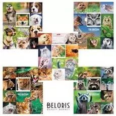 Тетрадь 48 л. клетка Живые эмоции